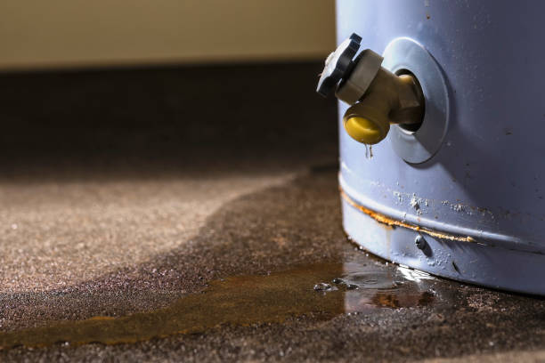 Best Fire Damage Restoration  in Cave City, KY