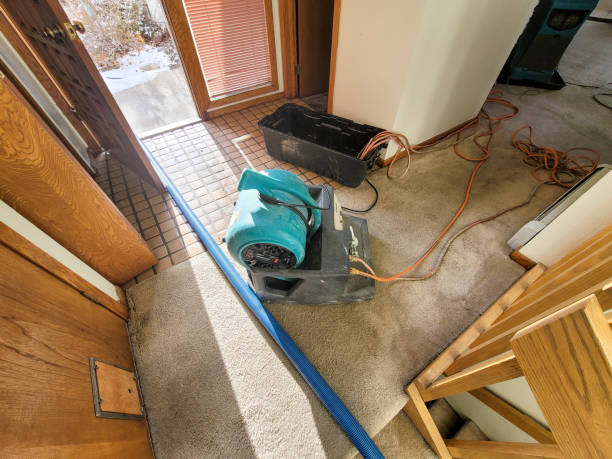 Best Water damage contractors near me  in Cave City, KY