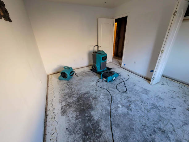 Best Water damage mitigation services  in Cave City, KY