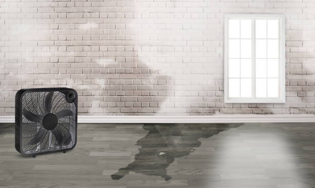  Cave City, KY Water damage restoration Pros