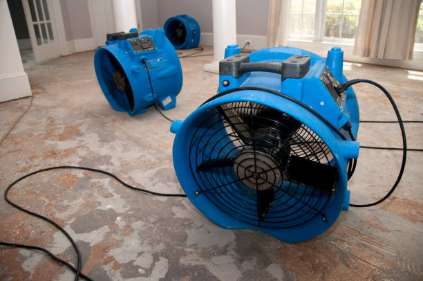 Best Residential water damage restoration  in Cave City, KY
