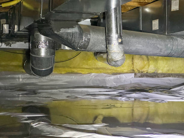 Best Ceiling water damage repair  in Cave City, KY