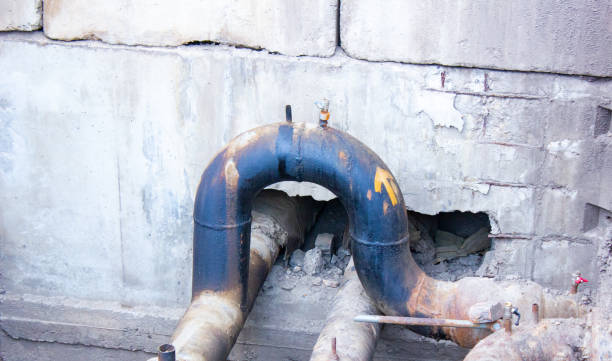Best Water damage restoration process  in Cave City, KY