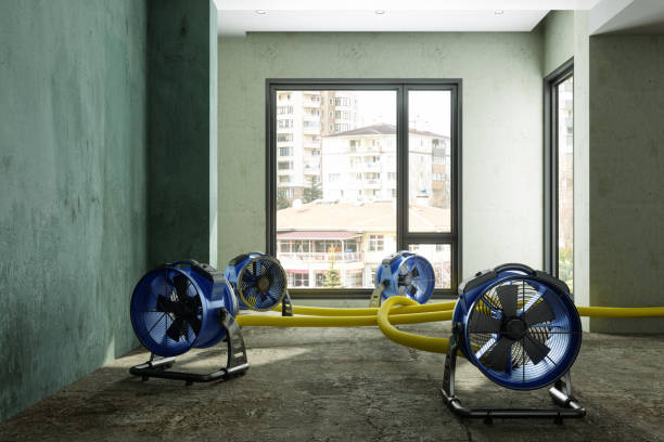 Best Commercial water damage restoration  in Cave City, KY